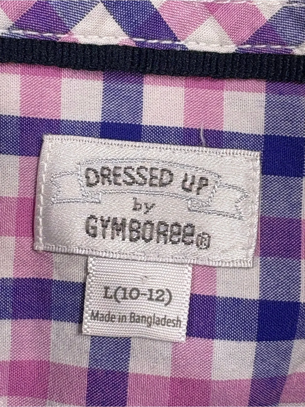 Dressed Up By Gymboree Pink & Blue Check Button-Down Shirt